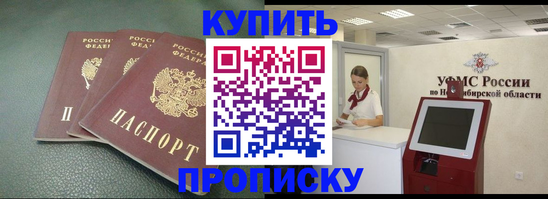 прописка поиск в Ельне